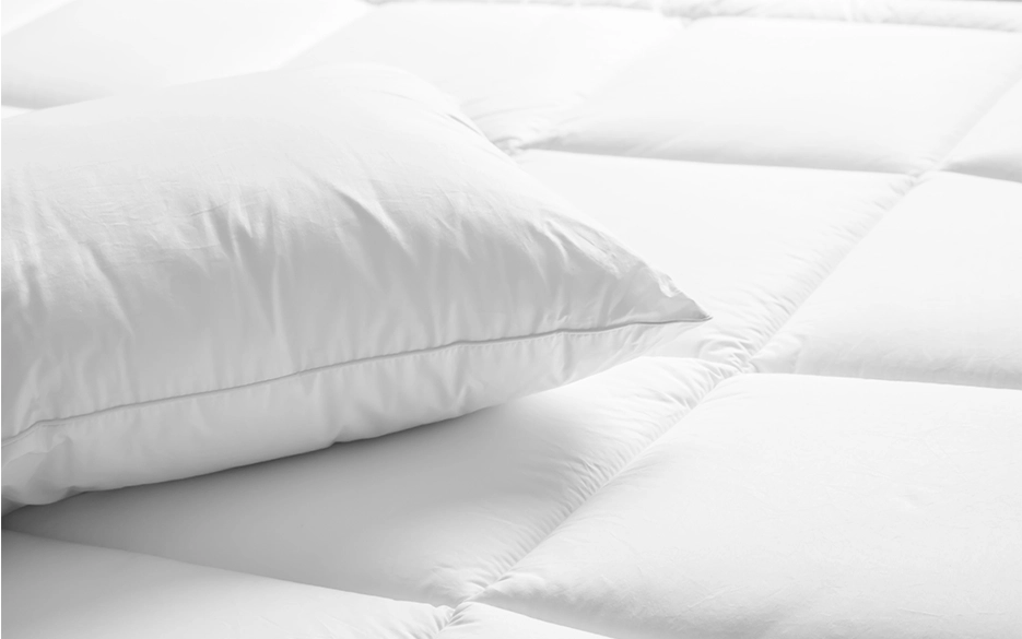Feather & Down Pillow